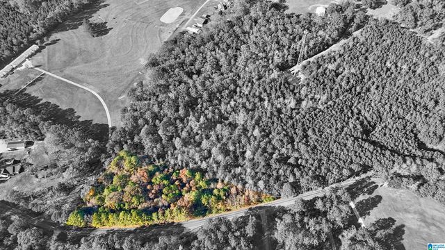 0 EUREKA ROAD, Lincoln, AL 35096