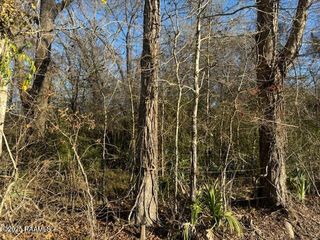 Heard Sylvester Road, Washington, LA 70589