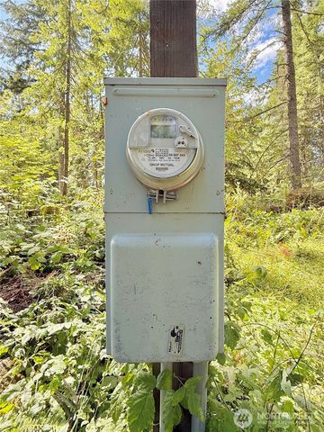 49923 146th Avenue E, Eatonville, WA 98328