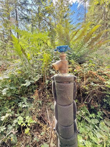 49923 146th Avenue E, Eatonville, WA 98328