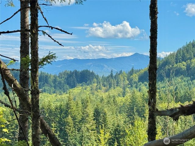 49923 146th Avenue E, Eatonville, WA 98328