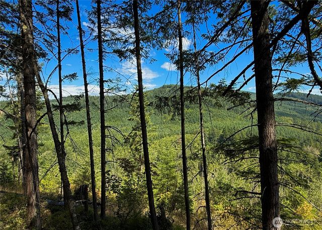 49923 146th Avenue E, Eatonville, WA 98328