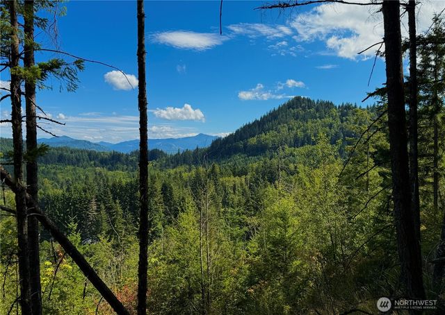 49923 146th Avenue E, Eatonville, WA 98328