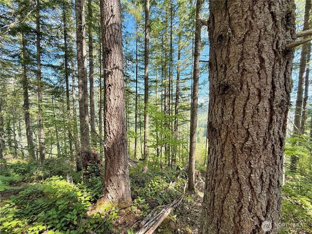 49923 146th Avenue E, Eatonville, WA 98328