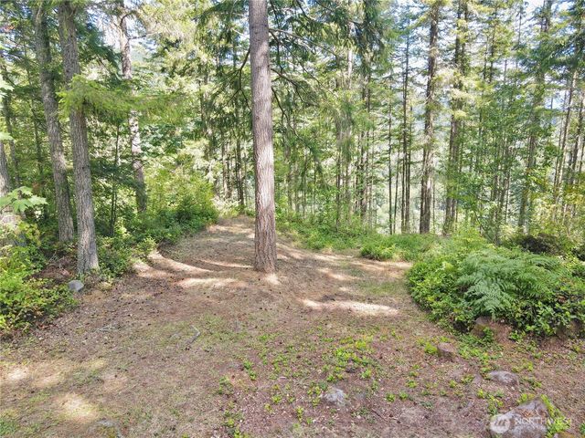 49923 146th Avenue E, Eatonville, WA 98328