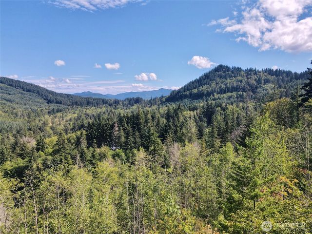 49923 146th Avenue E, Eatonville, WA 98328