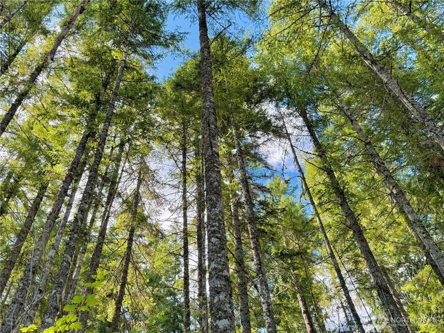 49923 146th Avenue E, Eatonville, WA 98328