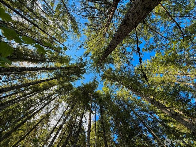 49923 146th Avenue E, Eatonville, WA 98328