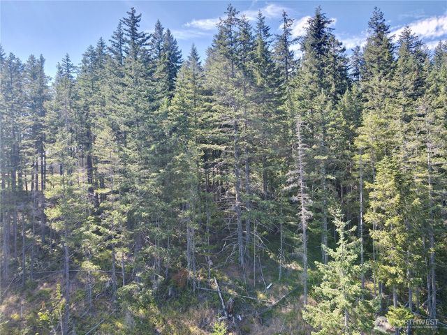 49923 146th Avenue E, Eatonville, WA 98328