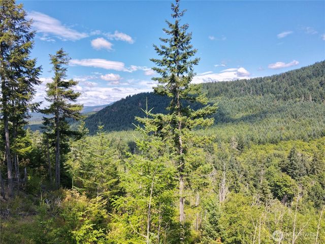 49923 146th Avenue E, Eatonville, WA 98328