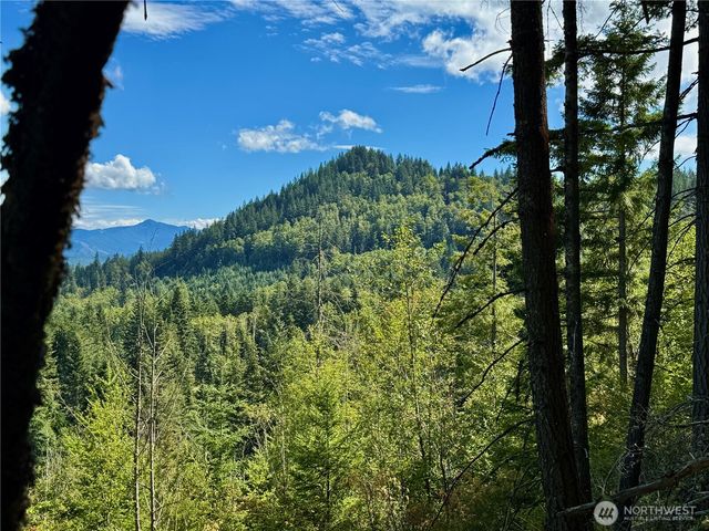 49923 146th Avenue E, Eatonville, WA 98328