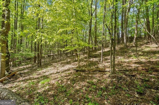 16160 Henderson Road, Milton, GA 30004