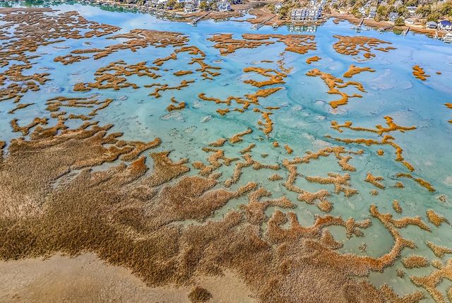 664 S Dogwood Dr., Garden City Beach, SC 29576