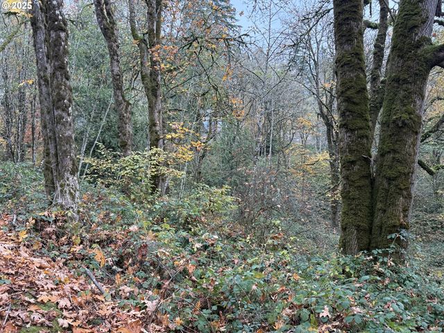 0 Maplewood Dr, Longview, WA 98632