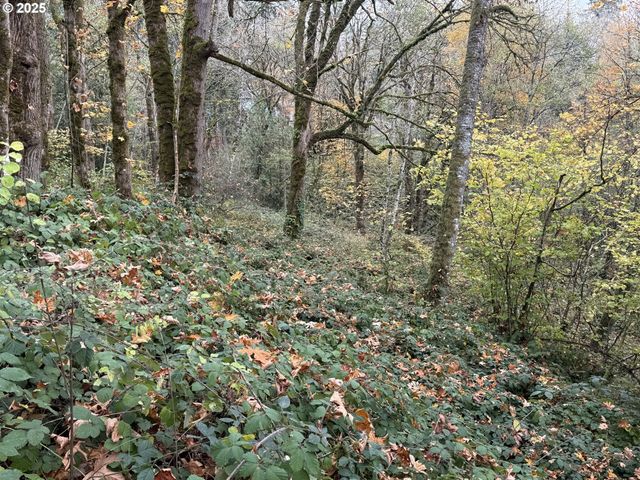 0 Maplewood Dr, Longview, WA 98632