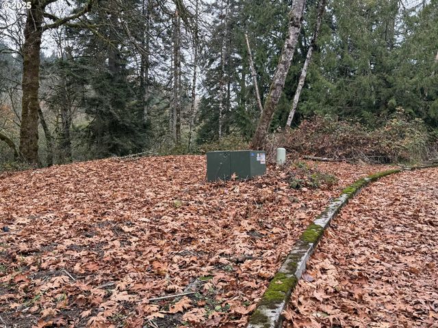 0 Maplewood Dr, Longview, WA 98632