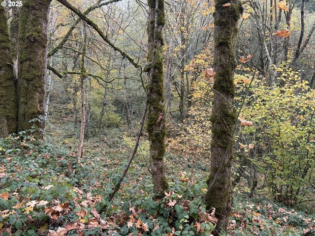 0 Maplewood Dr, Longview, WA 98632