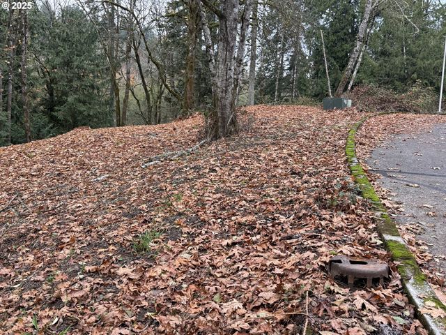 0 Maplewood Dr, Longview, WA 98632