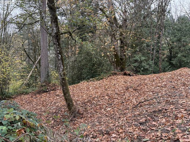 0 Maplewood Dr, Longview, WA 98632