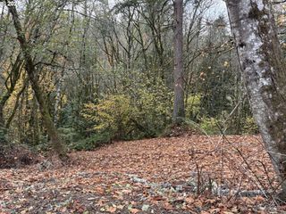 0 Maplewood Dr, Longview, WA 98632