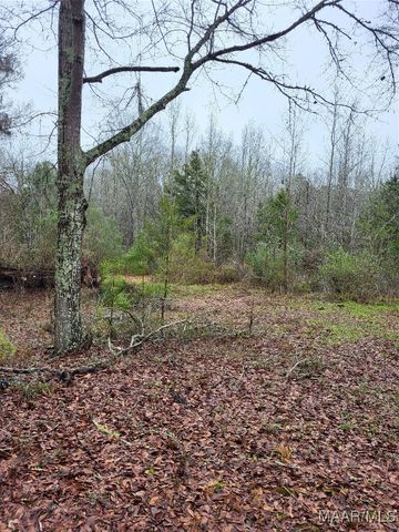 799 Pine Tuckett Road, Hope Hull, AL 36043