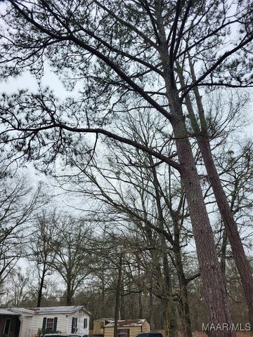799 Pine Tuckett Road, Hope Hull, AL 36043