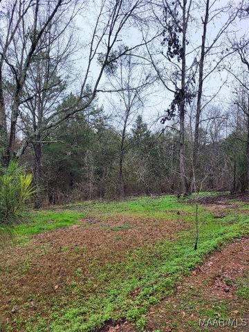 799 Pine Tuckett Road, Hope Hull, AL 36043