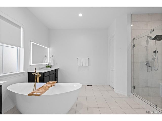 3556 Tacklebox Ct, Castle Rock, CO 80108