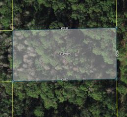 POLK CITY, Polk City, FL 33868