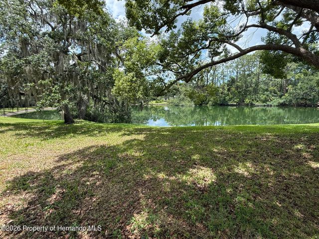 8018 Wild Flower Row, Hudson, FL 34667