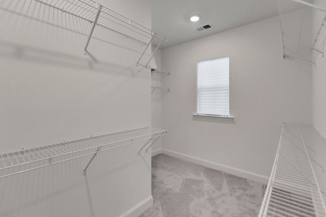 251 Claret Cup Way, Charleston, SC 29414