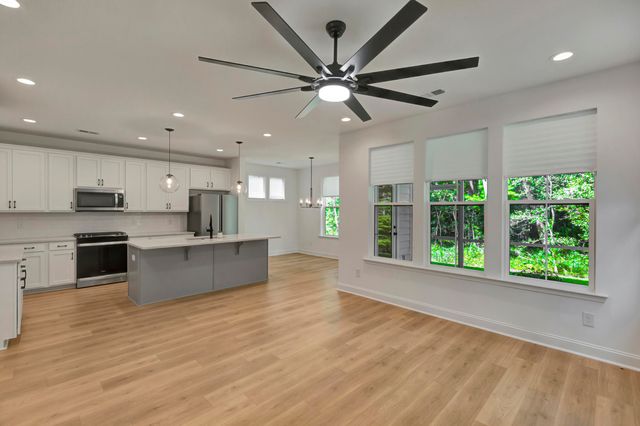 251 Claret Cup Way, Charleston, SC 29414