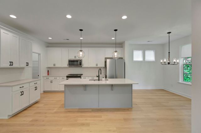 251 Claret Cup Way, Charleston, SC 29414