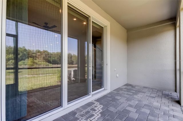 8341 WILDFLOWER GLEN AVENUE, Odessa, FL 33556