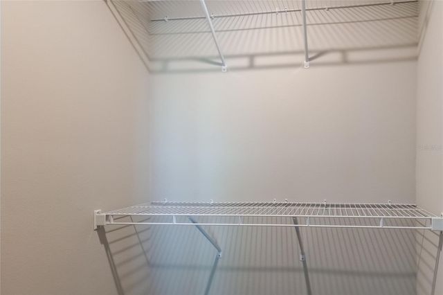 8341 WILDFLOWER GLEN AVENUE, Odessa, FL 33556