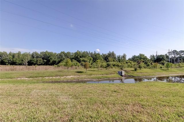 8341 WILDFLOWER GLEN AVENUE, Odessa, FL 33556