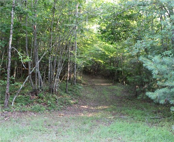 2541 Collinstown Road, Westfield, NC 27053