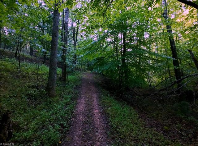 2541 Collinstown Road, Westfield, NC 27053