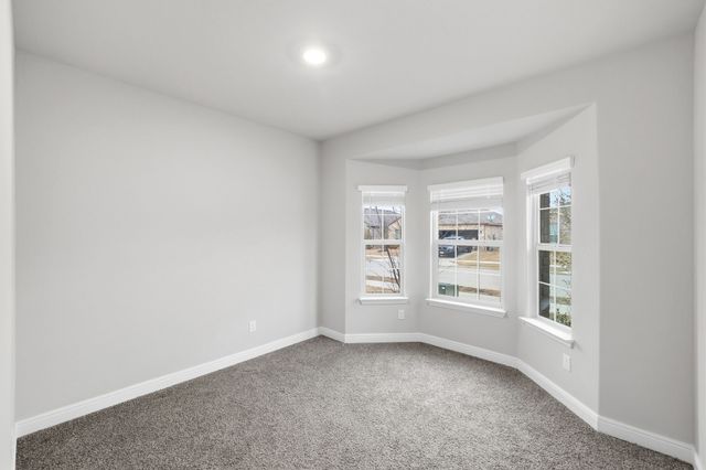 1132 Gillespie Dr, Justin, TX 76247