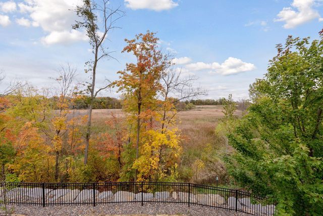 696 Woodland Hill Court, Medina, MN 55340