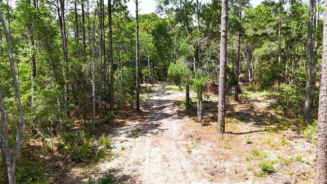 0 WINDHAVEN LANE, Brooksville, FL 34614