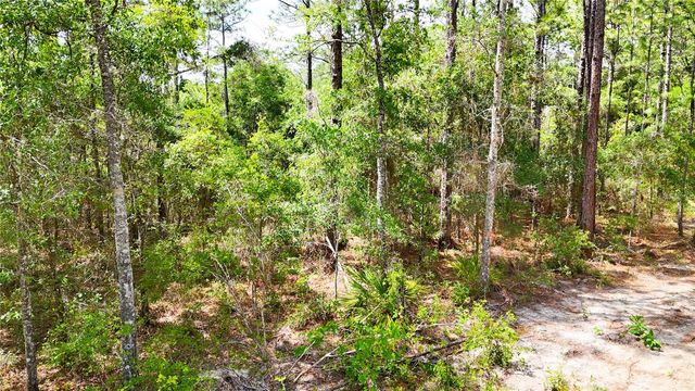 0 WINDHAVEN LANE, Brooksville, FL 34614