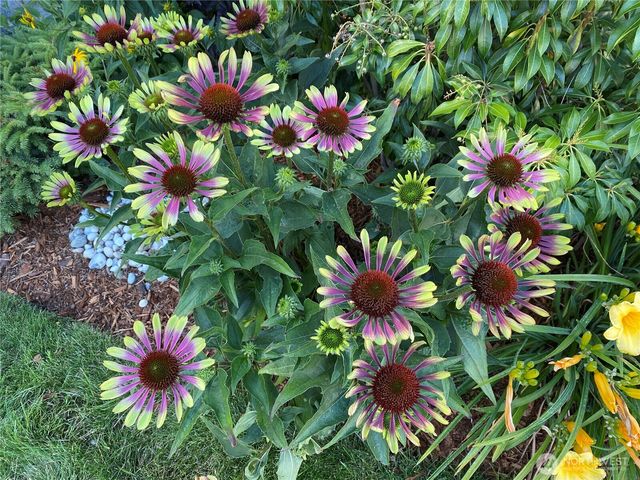 7242 Sinclair Avenue, Gig Harbor, WA 98335