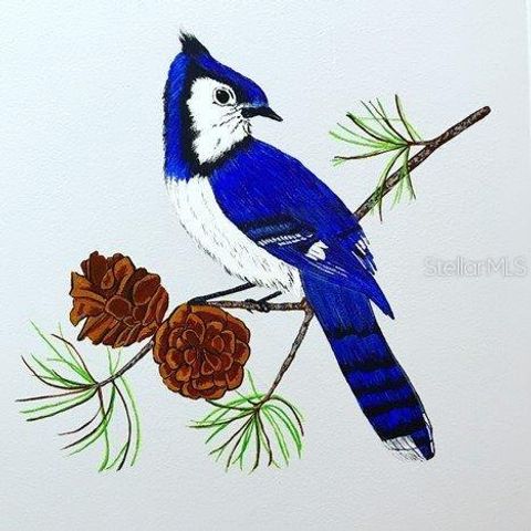 105 PINEBARK DRIVE, Palm Harbor, FL 34684