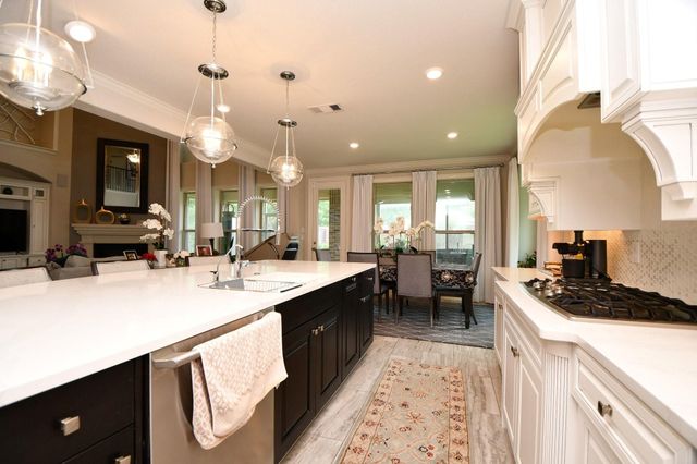 20229 W Hachita Circle, Spring, TX 77379