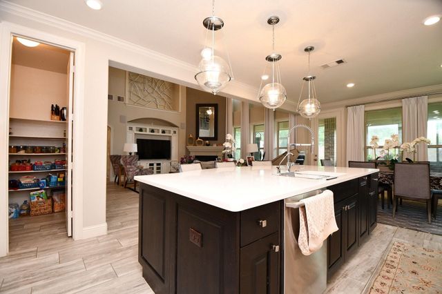 20229 W Hachita Circle, Spring, TX 77379
