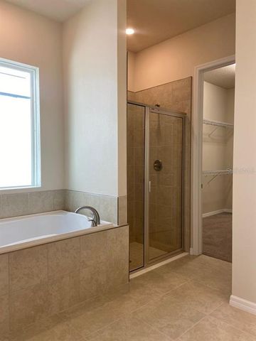 28613 COZY CREEK DRIVE, Wesley Chapel, FL 33543