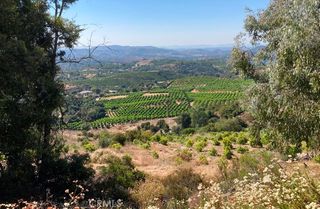 37 El Calamar Road, Temecula, CA 92590