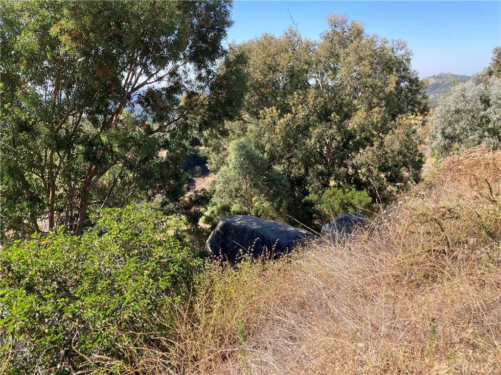 Image 3 of property listing at 37 El Calamar Road, Temecula, CA 92590