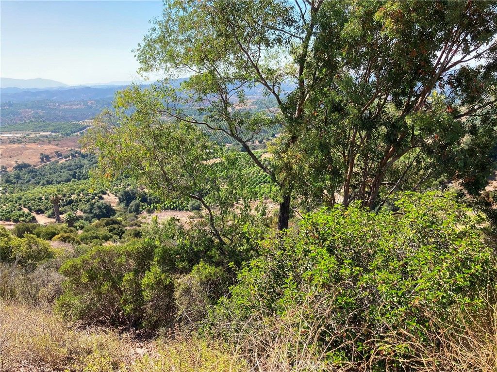 Image 4 of property listing at 37 El Calamar Road, Temecula, CA 92590